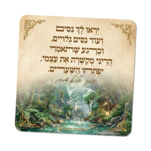 מגנטים ברוח הצדיקים - מספר 12