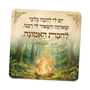 מגנטים ברוח הצדיקים - מספר 14