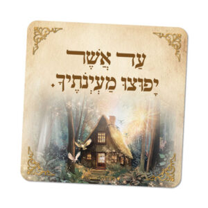 מגנטים ברוח הצדיקים - מספר 7